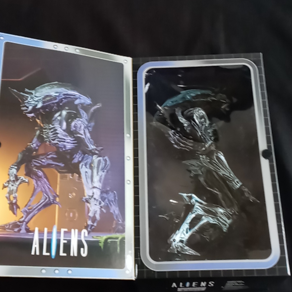 Collectable - Picture 4 of 5